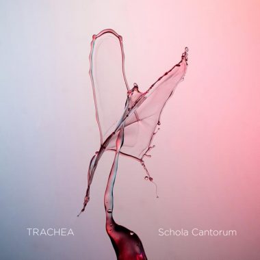 schola-cantorum-trachea_front schola-cantorum-trachea_front